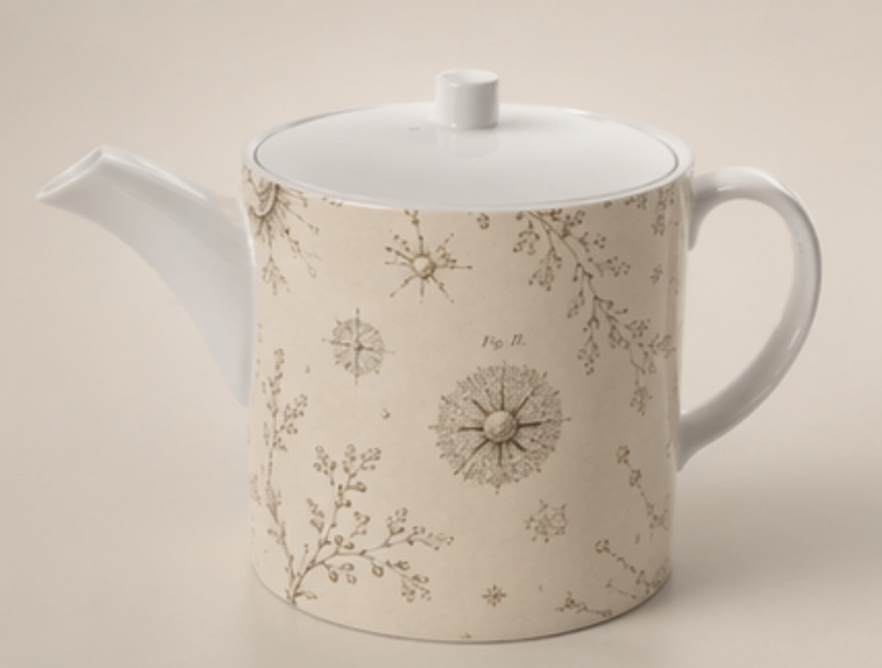 The Teapot — Radiolaria | The Haeckel Archive - The Canvas Collective