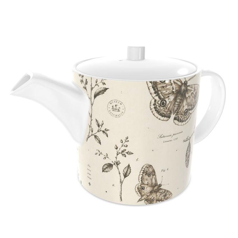 The Teapot — Saturnia pavonia | The Naturalist’s Cabinet - The Canvas Collective