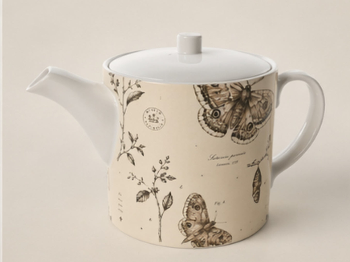 The Teapot — Saturnia pavonia | The Naturalist’s Cabinet - The Canvas Collective