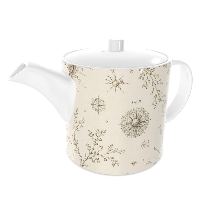 The Teapot — Radiolaria | The Haeckel Archive - The Canvas Collective
