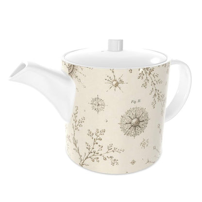 The Teapot — Radiolaria | The Haeckel Archive - The Canvas Collective