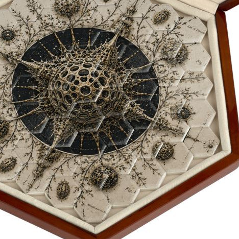 The Hexagon Jigsaw — Radiolaria | The Haeckel Archive - The Canvas Collective