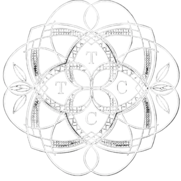 The Canvas Collective